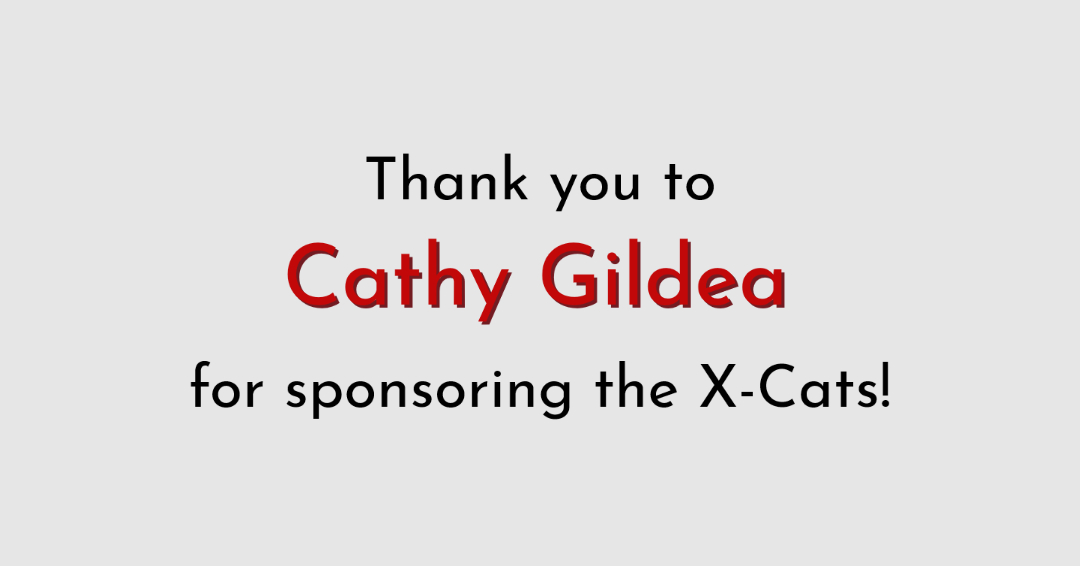 Cathy Gildea