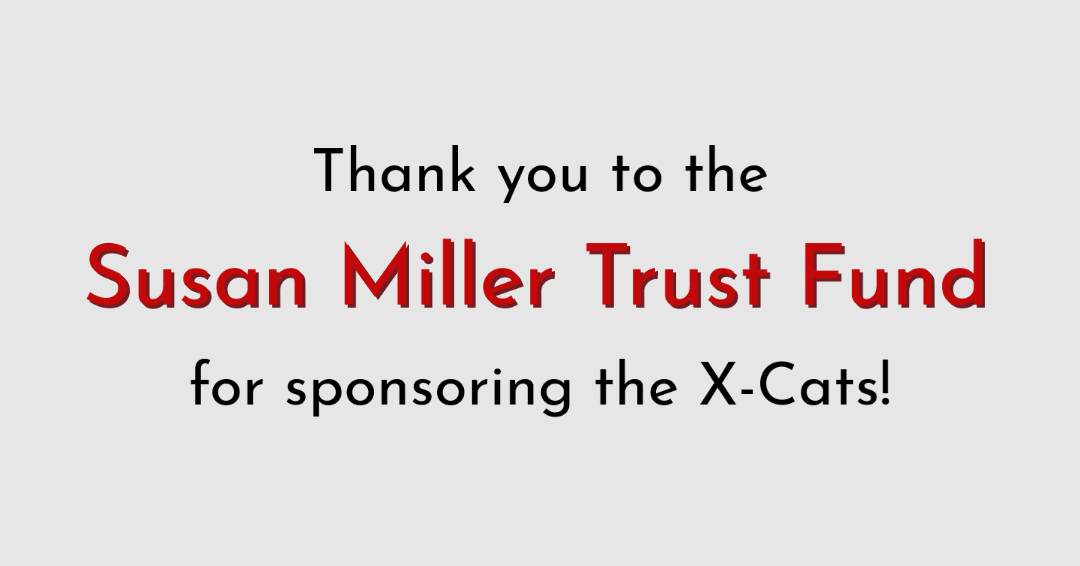 Susan Miller Trust Fund